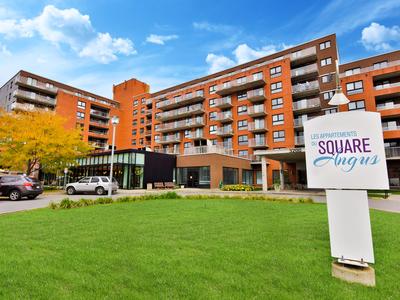 Les appartements du Square Angus